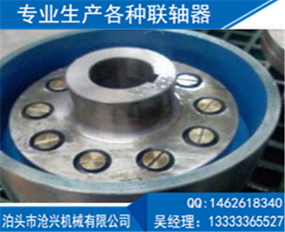 LTZ(原TLL型)帶制動輪彈性套柱銷聯軸器